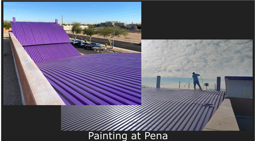 Roof Painting at Pena school
